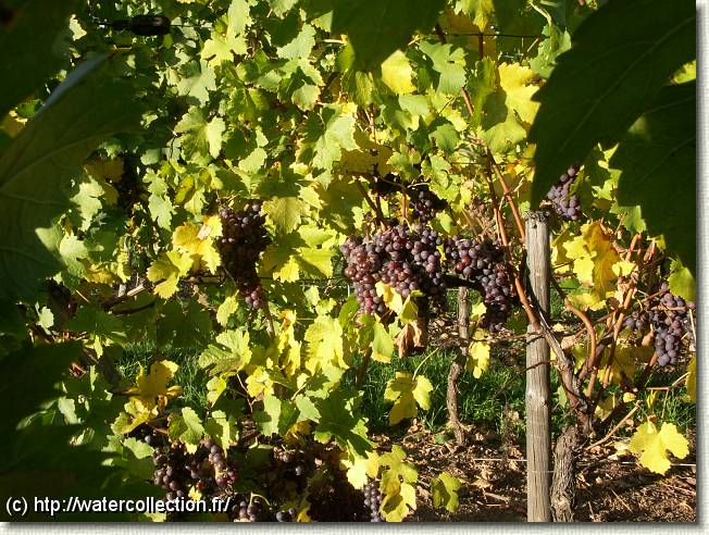 Diapositive suivante